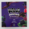 Kaws Rocks Berry Edition